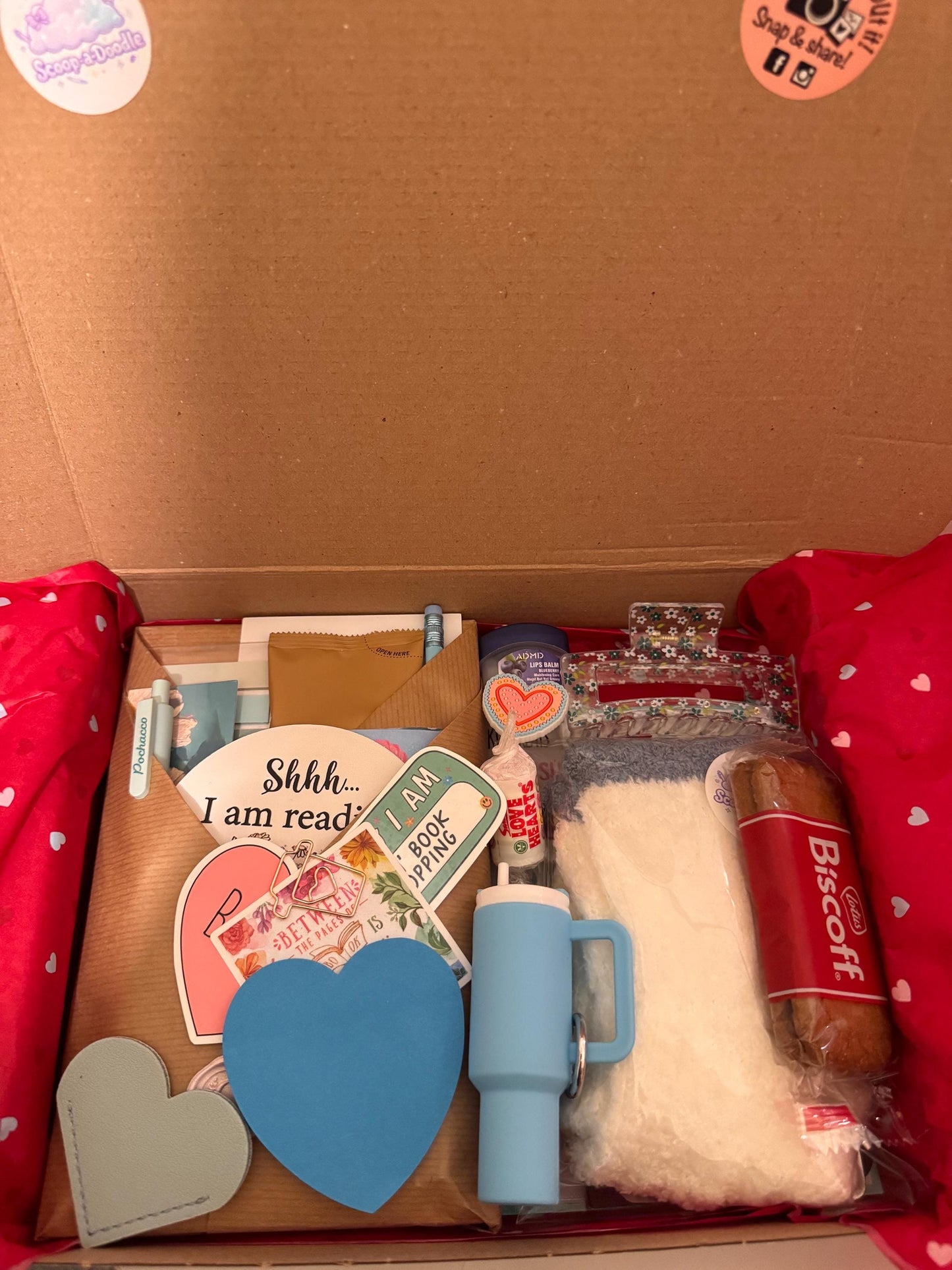 Bookish Bundle-Blind Date with a Book Bundle - complete with a cozy night in