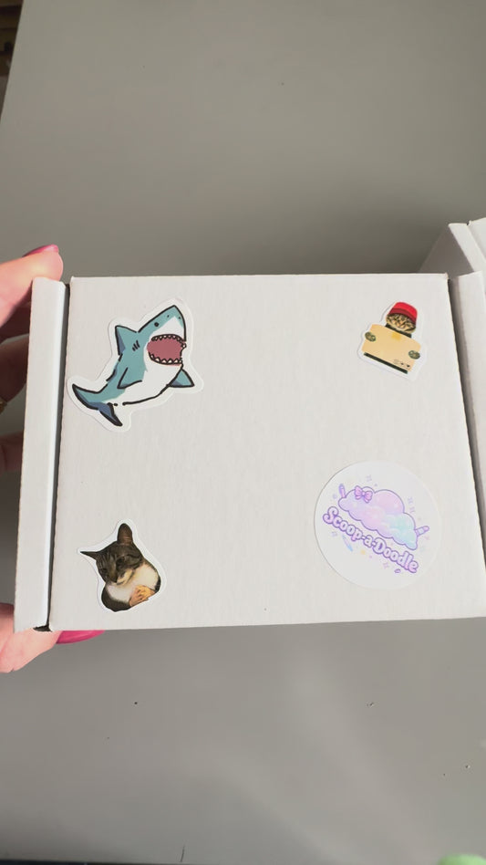 Pocket Money Mystery Box